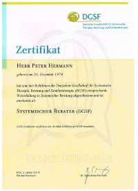 DGSF Systemischer Berater